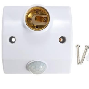 bulb