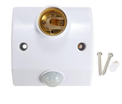 bulb