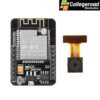 esp32