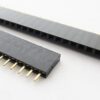 40pin female