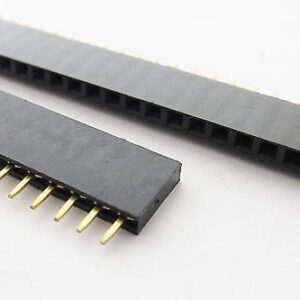 40pin female