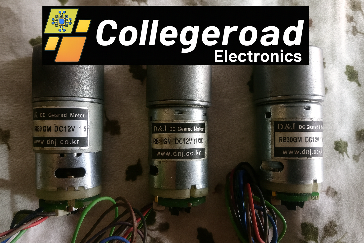 12V DC Encoded Gear Motor